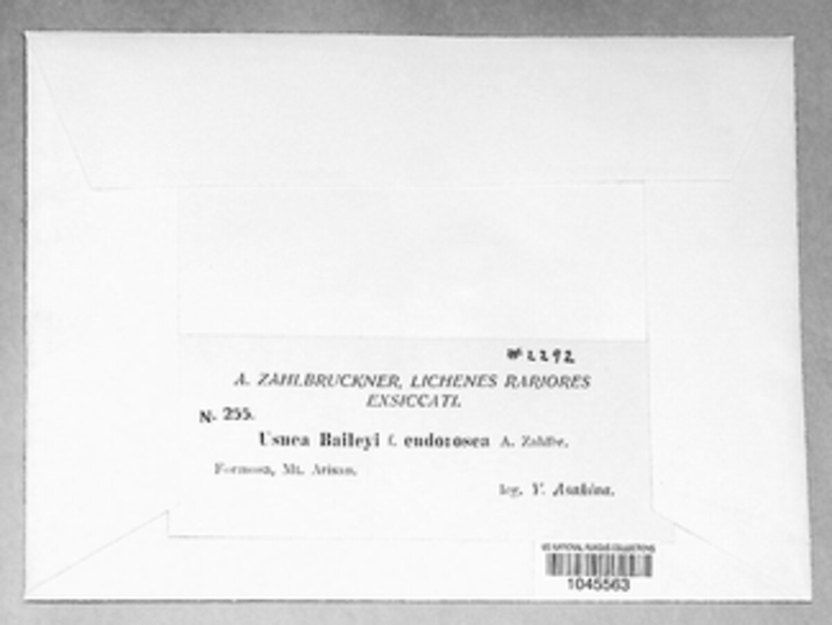 Eumitria image